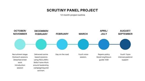 Youth Scrutiny Panel Project timeline