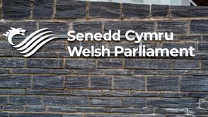 Senedd Sign Golden