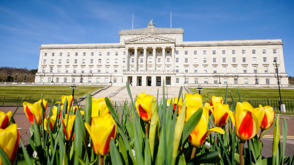 Stormont Spring Golden